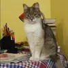 Отзыв от Аня Злобина